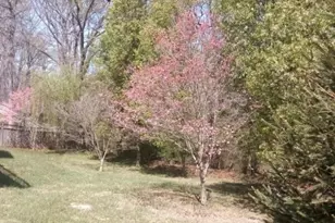 311 Devon Dr, Chestertown, MD 21620 - Photo 41