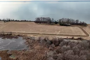 6520 Swan Creek Rd, Rock Hall, MD 21661 - Photo 23