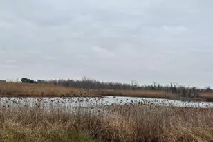 6520 Swan Creek Rd, Rock Hall, MD 21661 - Photo 61