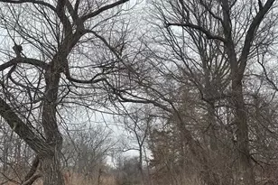 6520 Swan Creek Rd, Rock Hall, MD 21661 - Photo 57