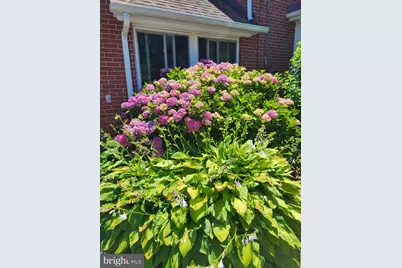 201 Greenwood Avenue, Chestertown, MD 21620 - Photo 49