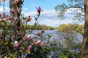 14183 Roberts Dr, Golts, MD 21637 - Photo 41