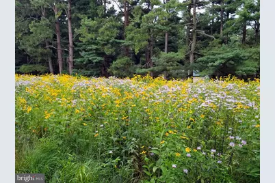 14183 Roberts Drive, Golts, MD 21637 - Photo 41