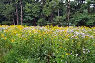 14183 Roberts Dr, Golts, MD 21637 - Photo 41