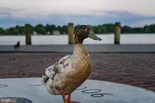 112 Metcalf Rd, Chestertown, MD 21620 - Photo 57