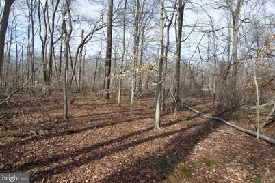 0 Carroll Clark Road, Galena, MD 21635 - Photo 33