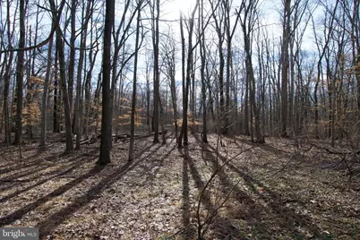 0 Carroll Clark Road, Galena, MD 21635 - Photo 29