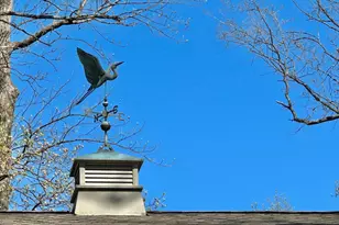 24241 Drayton Landing Dr, Worton, MD 21678 - Photo 65