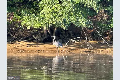 24241 Drayton Landing Drive, Worton, MD 21678 - Photo 61