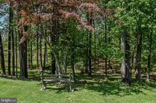 12118 Still Pond Creek Rd, Worton, MD 21678 - Photo 35