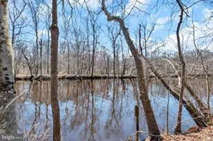 31667 W Edge Rd, Millington, MD 21651 - Photo 63