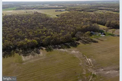 34203 Cypress Road, Millington, MD 21651 - Photo 25