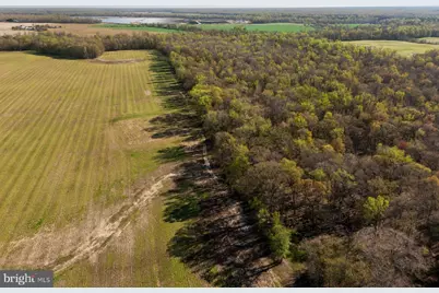 34203 Cypress Road, Millington, MD 21651 - Photo 7