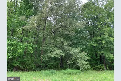 Black Bottom Road, Galena, MD 21635 - Photo 1