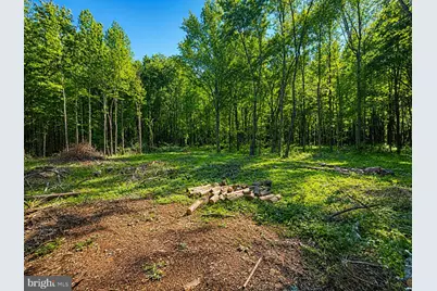 Sandy Bottom Road, Chestertown, MD 21620 - Photo 1