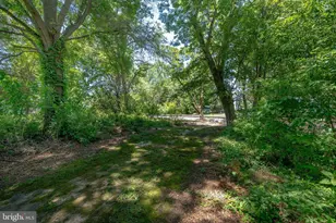 10790 Worton Rd, Worton, MD 21678 - Photo 45