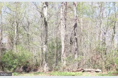 Fairlee Road, Chestertown, MD 21620 - Photo 7