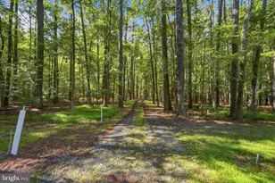 21590 Pine Ln, Rock Hall, MD 21661 - Photo 19