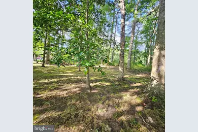 5827 S Hawthorne Avenue, Rock Hall, MD 21661 - Photo 49