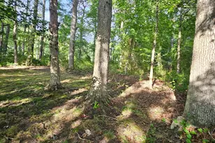 5827 S Hawthorne Ave, Rock Hall, MD 21661 - Photo 51