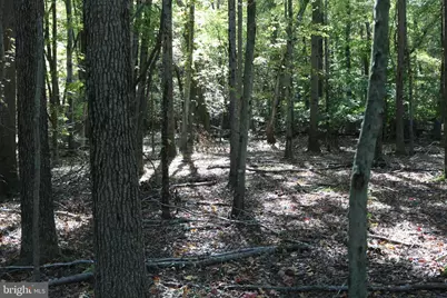 07 River Road, Millington, MD 21651 - Photo 29