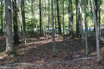 07 River Road, Millington, MD 21651 - Photo 31