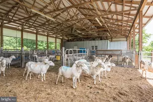 16120 Barnesville Rd, Boyds, MD 20841 - Photo 67