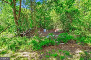 19900 New Hampshire Ave, Brinklow, MD 20862 - Photo 15