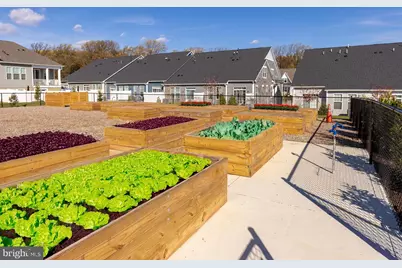 13210 Petrel Street #3304, Clarksburg, MD 20871 - Photo 47