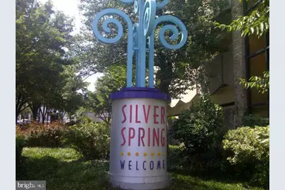 575 Thayer Avenue #404, Silver Spring, MD 20910 - Photo 23