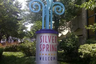 575 Thayer Ave, Silver Spring, MD 20910 - Photo 23