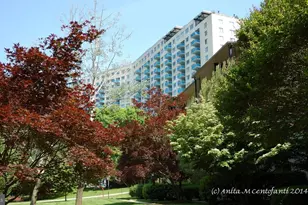 10201 Grosvenor, North Bethesda, MD 20852 - Photo 33