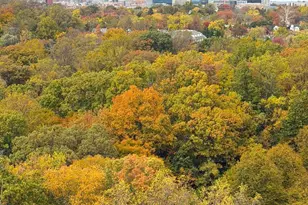 4601 N Park Ave, Chevy Chase, MD 20815 - Photo 11