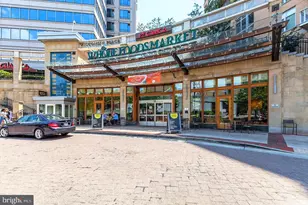 4601 N Park Ave, Chevy Chase, MD 20815 - Photo 53