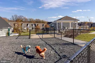 13240 Petrel St, Clarksburg, MD 20871 - Photo 49