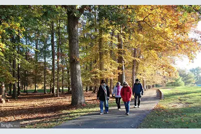 15300 Beaverbrook Court #88-2B, Silver Spring, MD 20906 - Photo 37