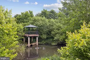 706 Fordham St, Rockville, MD 20850 - Photo 49