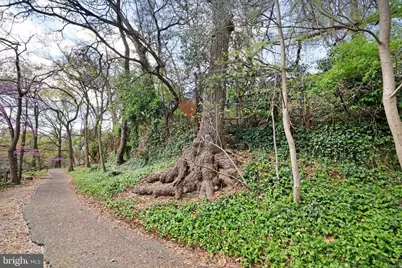117 Elm Avenue, Takoma Park, MD 20912 - Photo 53