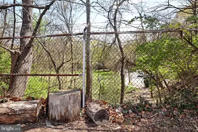 117 Elm Avenue, Takoma Park, MD 20912 - Photo 51