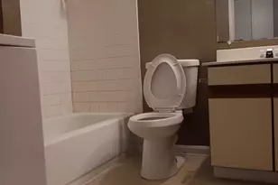 1647 Carriage House Terrace, Silver Spring, MD 20904 - Photo 19