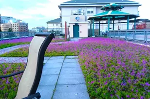 7981 Eastern Ave NW, Silver Spring, MD 20910 - Photo 29