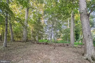 12509 White Dr, Silver Spring, MD 20904 - Photo 53