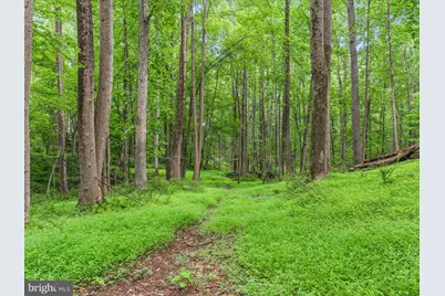 17101 Overhill, Derwood, MD 20855 - Photo 59