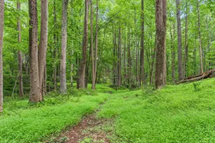 17101 Overhill, Derwood, MD 20855 - Photo 59