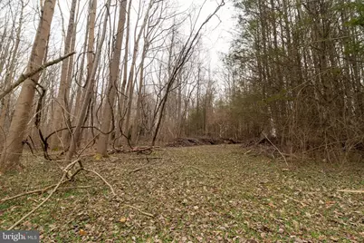 1625 Ashton Road, Ashton, MD 20861 - Photo 5