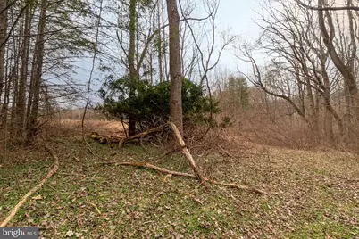 1625 Ashton Road, Ashton, MD 20861 - Photo 11