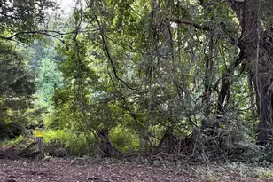 5812 Dimes Rd, Rockville, MD 20855 - Photo 1