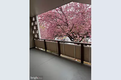 7553 Springlake Drive #D, Bethesda, MD 20817 - Photo 3