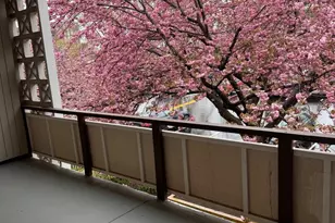 7553 Spring Lake Dr, Bethesda, MD 20817 - Photo 3