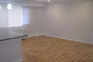 116 Lee Ave, Takoma Park, MD 20912 - Photo 37